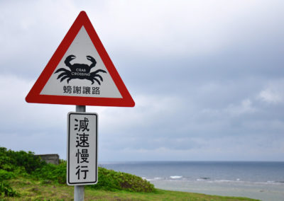 Dopravní značka "pozor krab"
